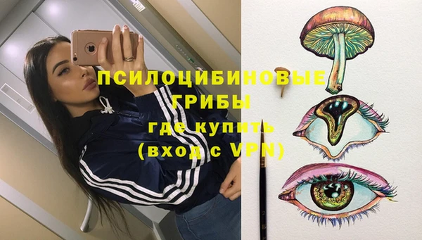 не бодяженный Белокуриха