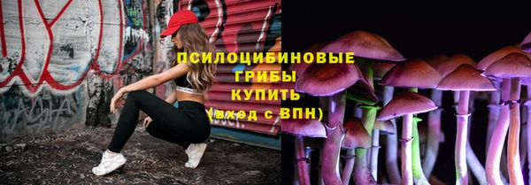 трава Беломорск