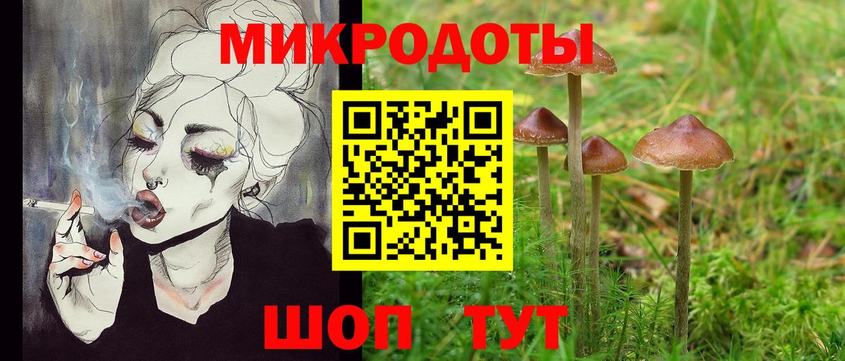 Галлюциногенные грибы Psilocybine cubensis Корсаков